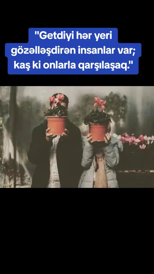 @Linda💚