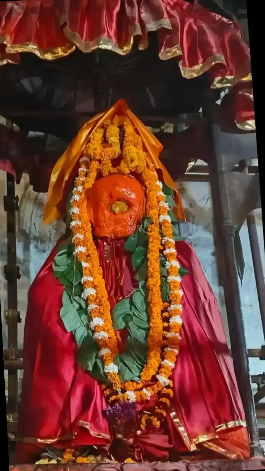 @Renu Mandal845