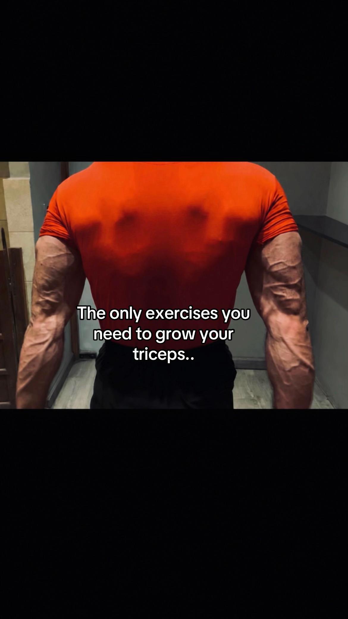 @Sayed