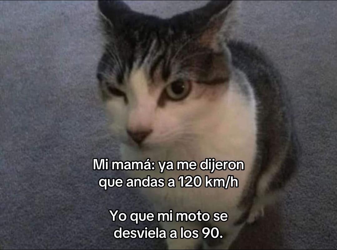 @Oso1819