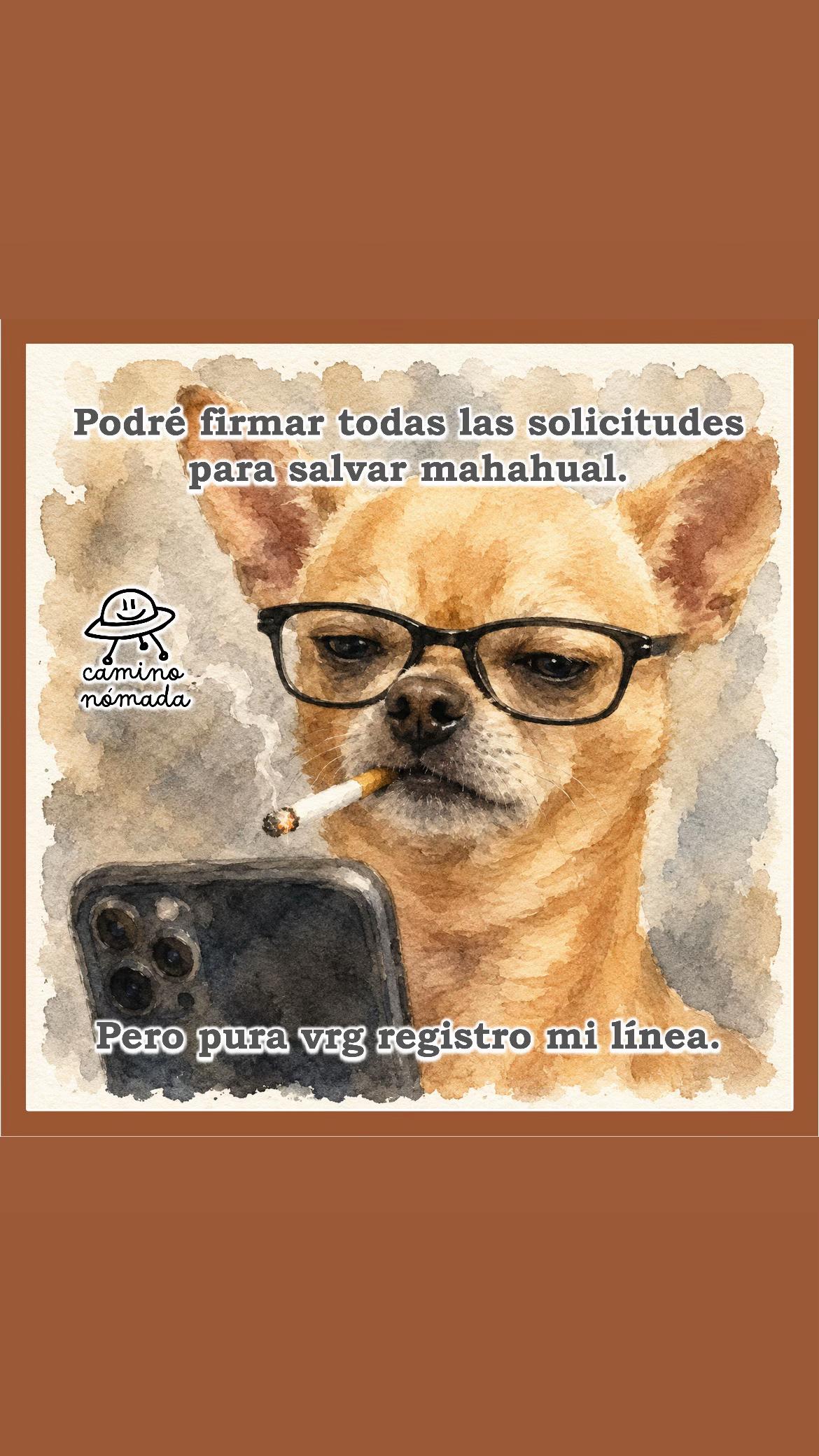 @Camino Nómada
