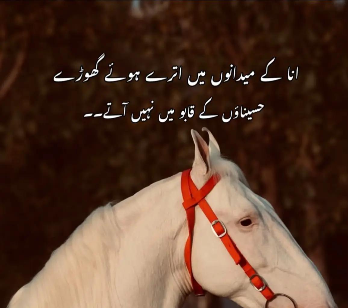 @faizan_edits✨