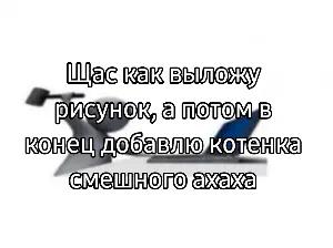 @Фралек🍩