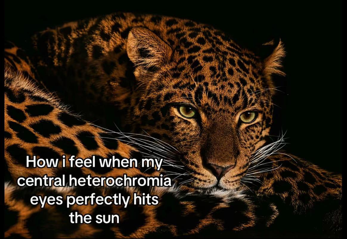 @𝖆𝖘𝖇𝖔_𝖈𝖍𝖝𝖞
