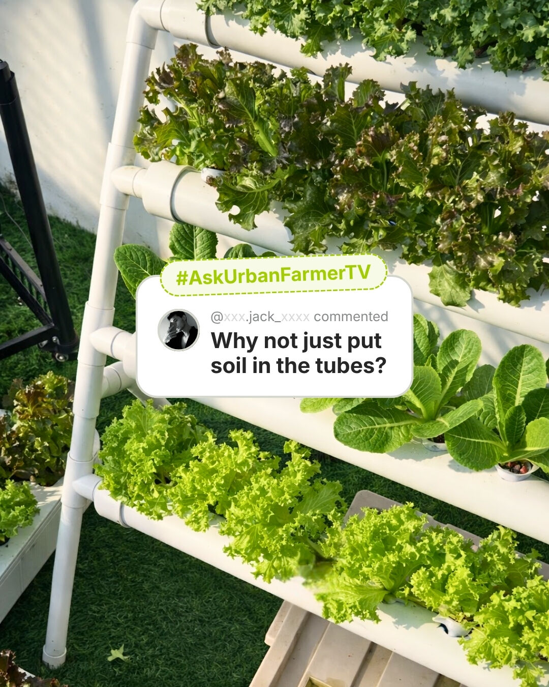 @Urban Farmer TV ๐ฉ๐ป๐พ