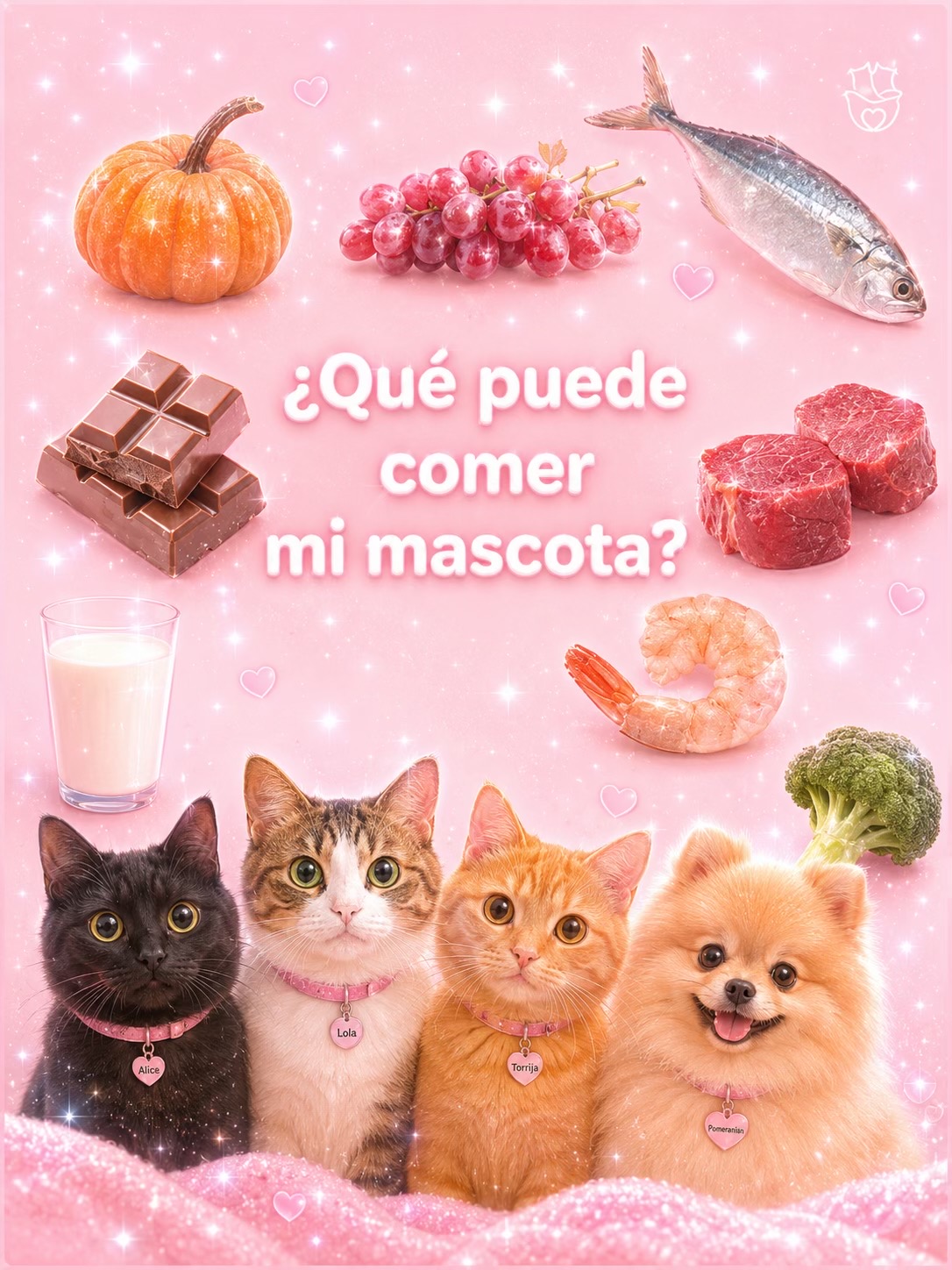 @- Alejandra  🐱💕