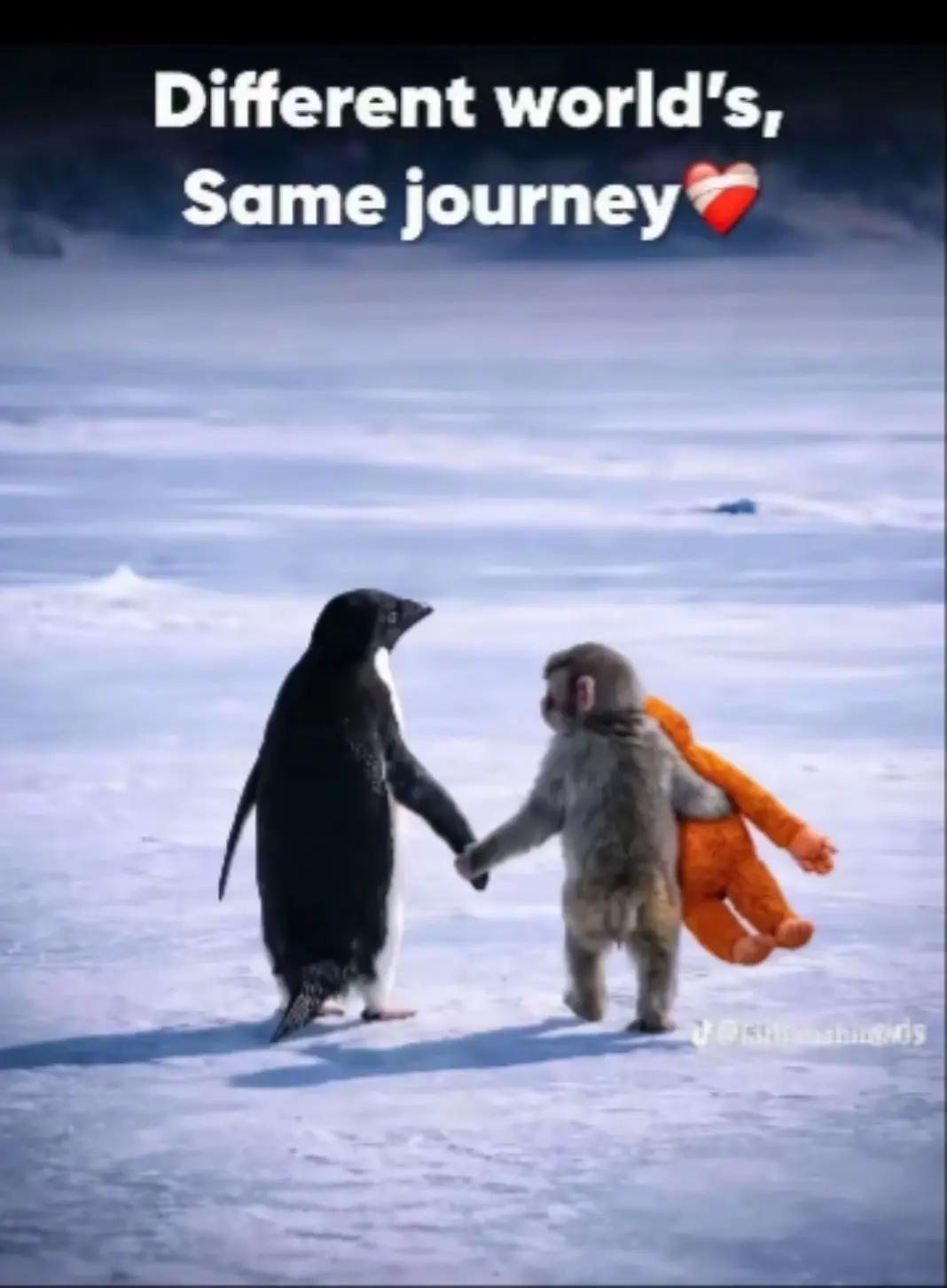 @𝙽𝙾𝚆𝚂𝙰𝚃𝙷 𝚆𝚒𝚏𝚎𝚢𝚢💑