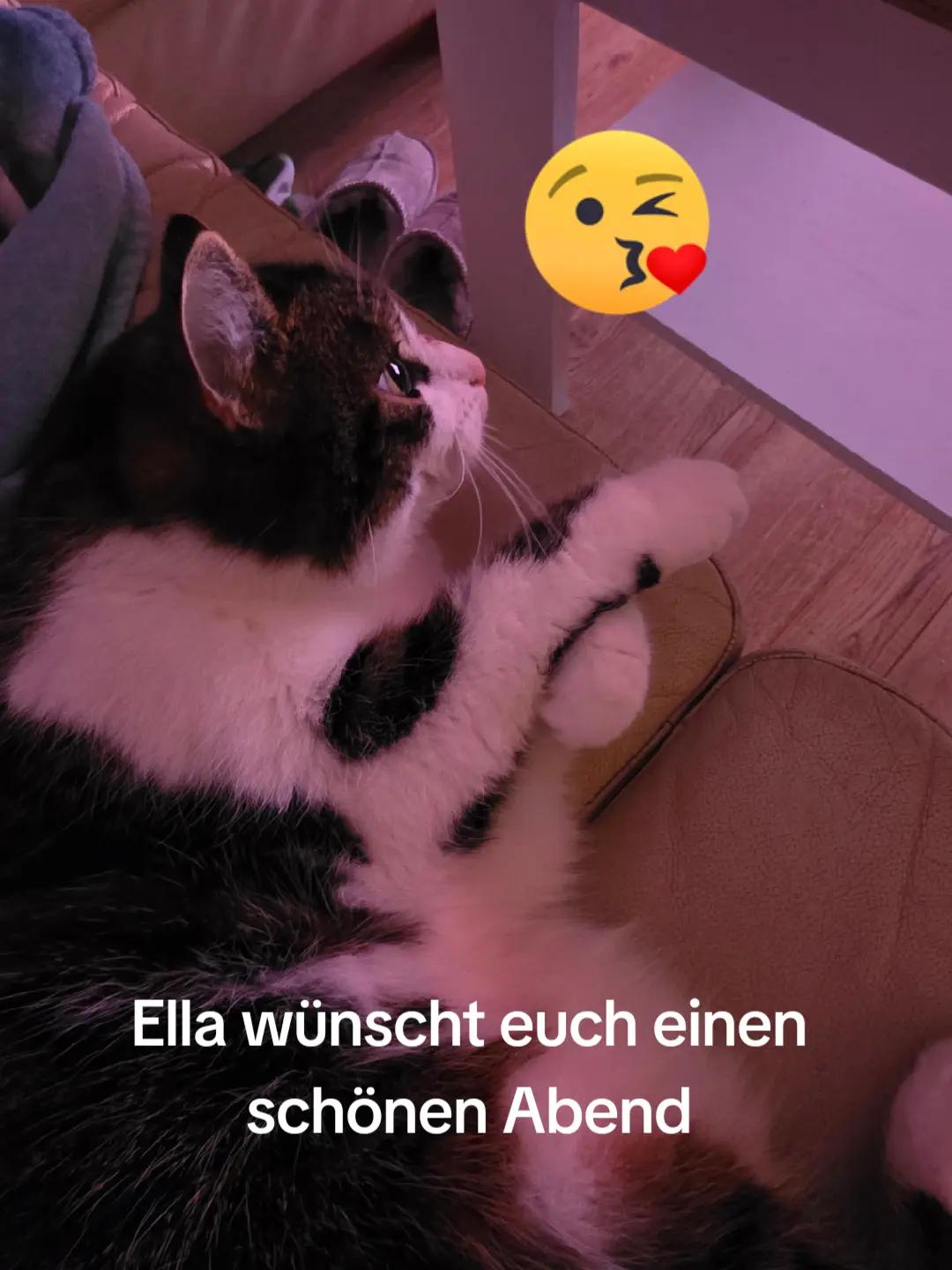 @Sarah Schumacher