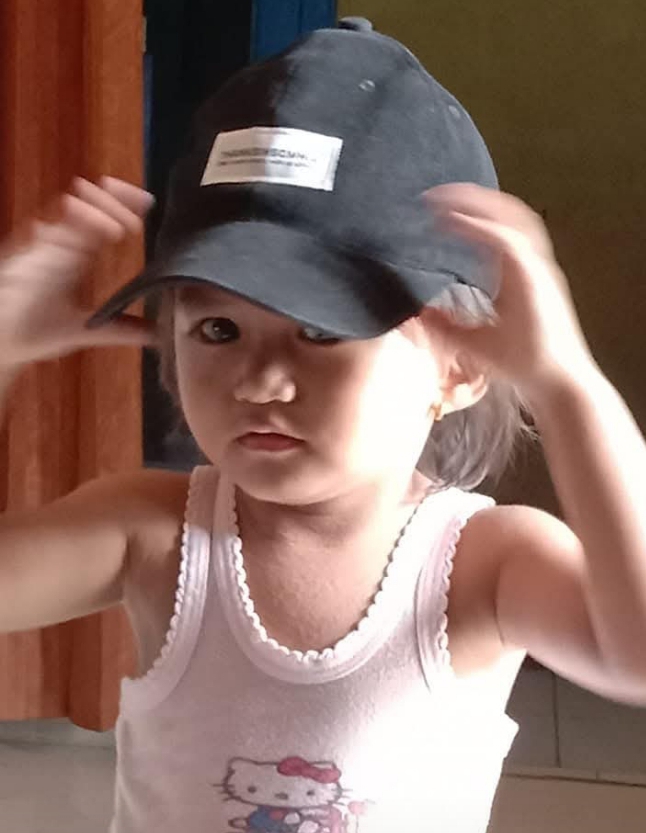 @seniman api