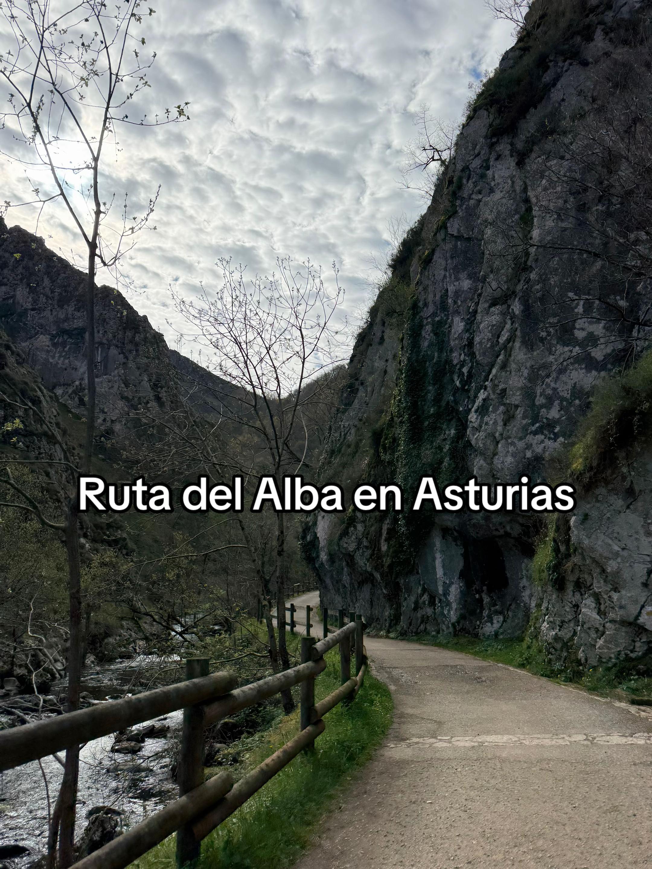 @s de sara