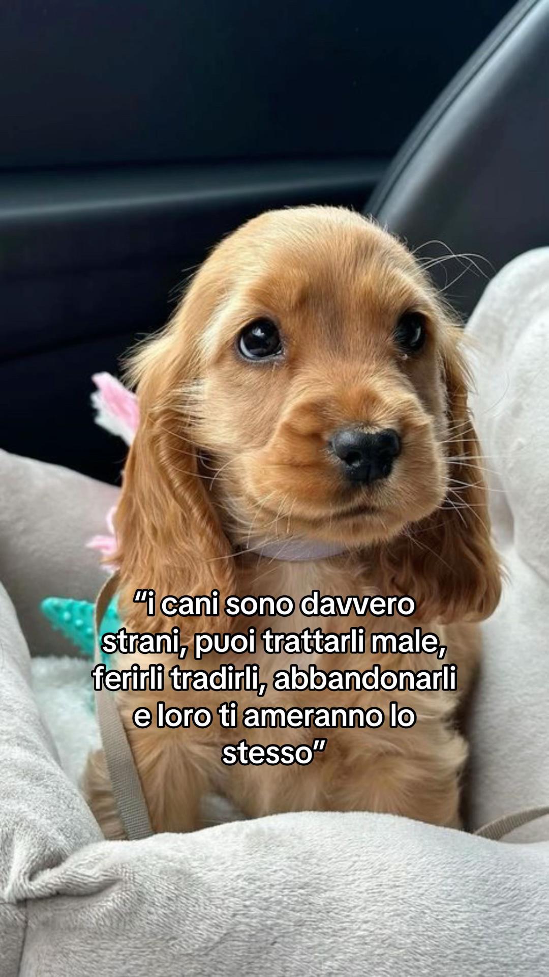 @arayaa.spamm