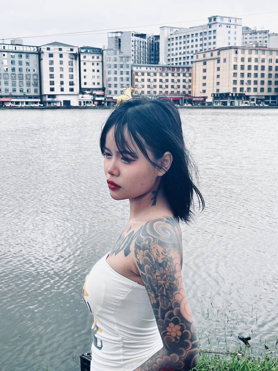 @金雨成