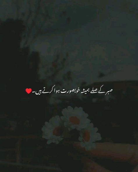 @𝐀𝐦𝐣𝐚𝐝 𝐒𝐚𝐡𝐚𝐫𝐚𝐧 A❣️S