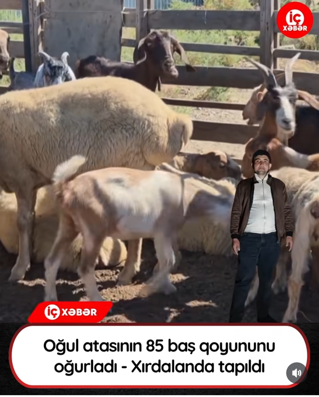 @@tarix__yazanlar_2020🇦🇿🇹🇷