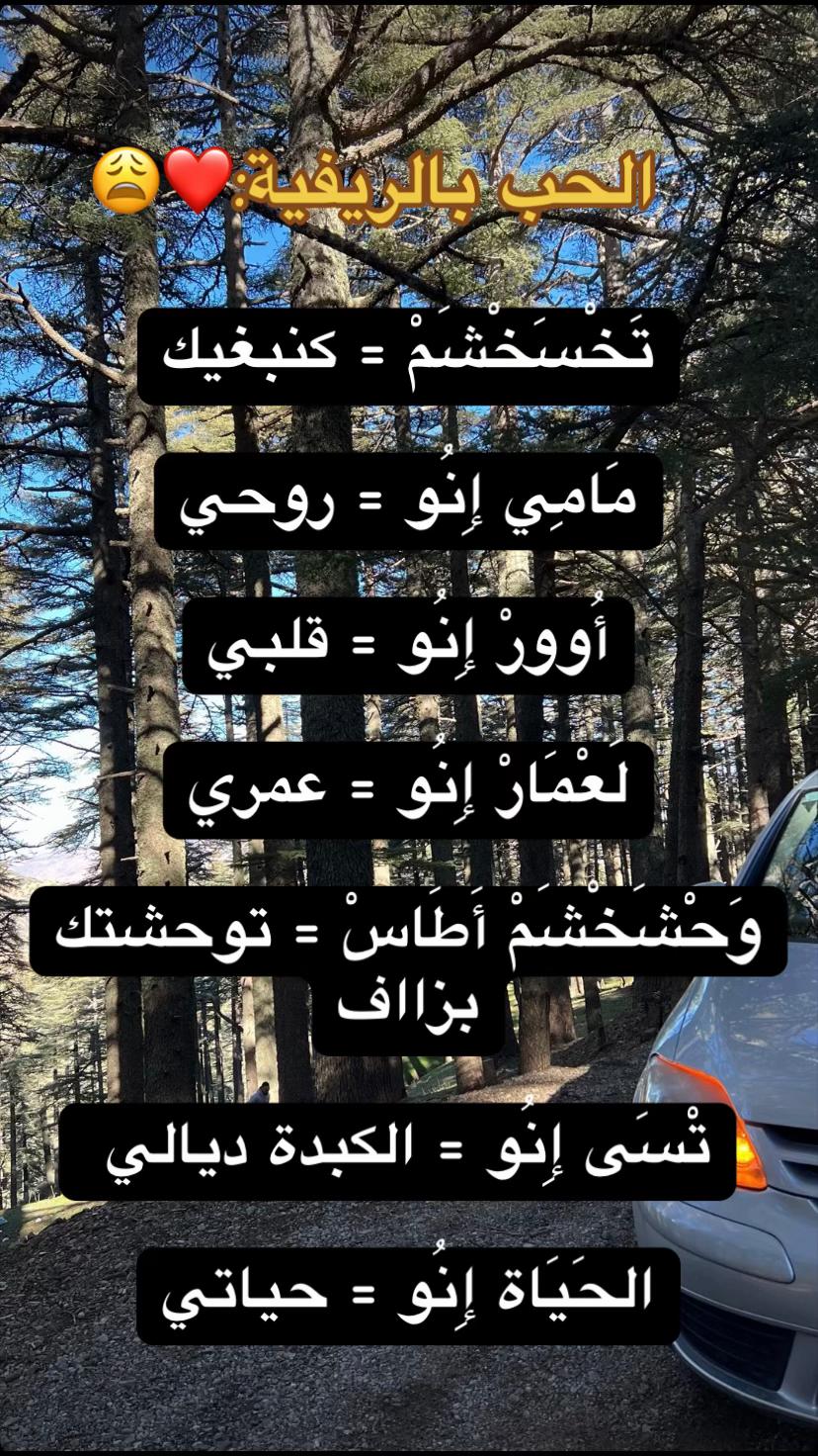 @حفيد مولاي موحند ❤️🇧🇪🇳🇱