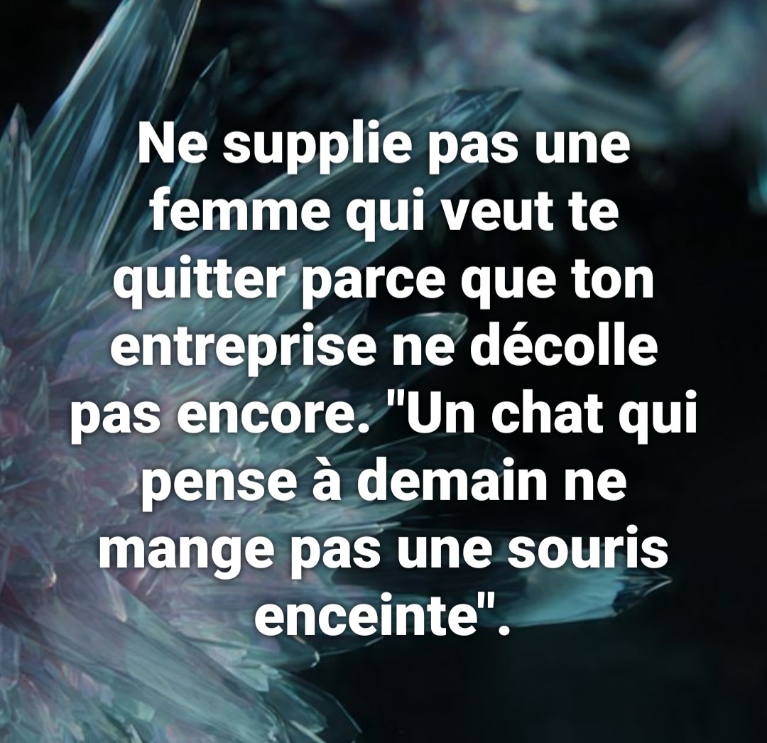 @Mentalit&eacute; Aligator
