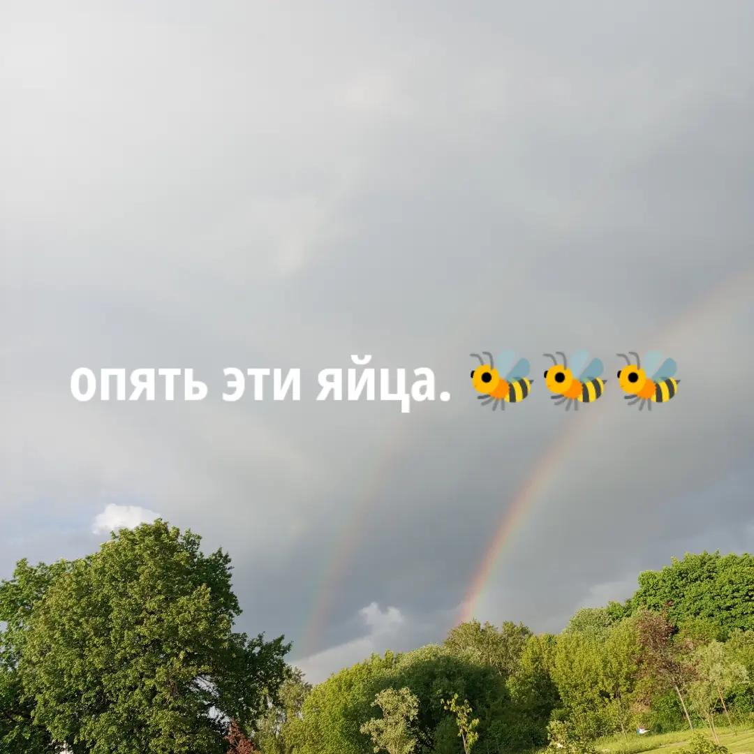 @ксяоми привет🇺🇸