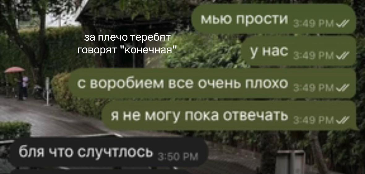 @𑣲⋆ xscarat🐰