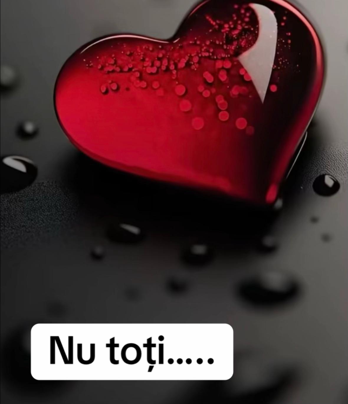 @Natasa Sandu