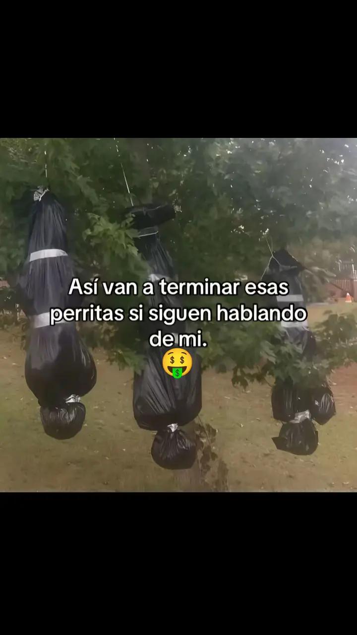 @💤