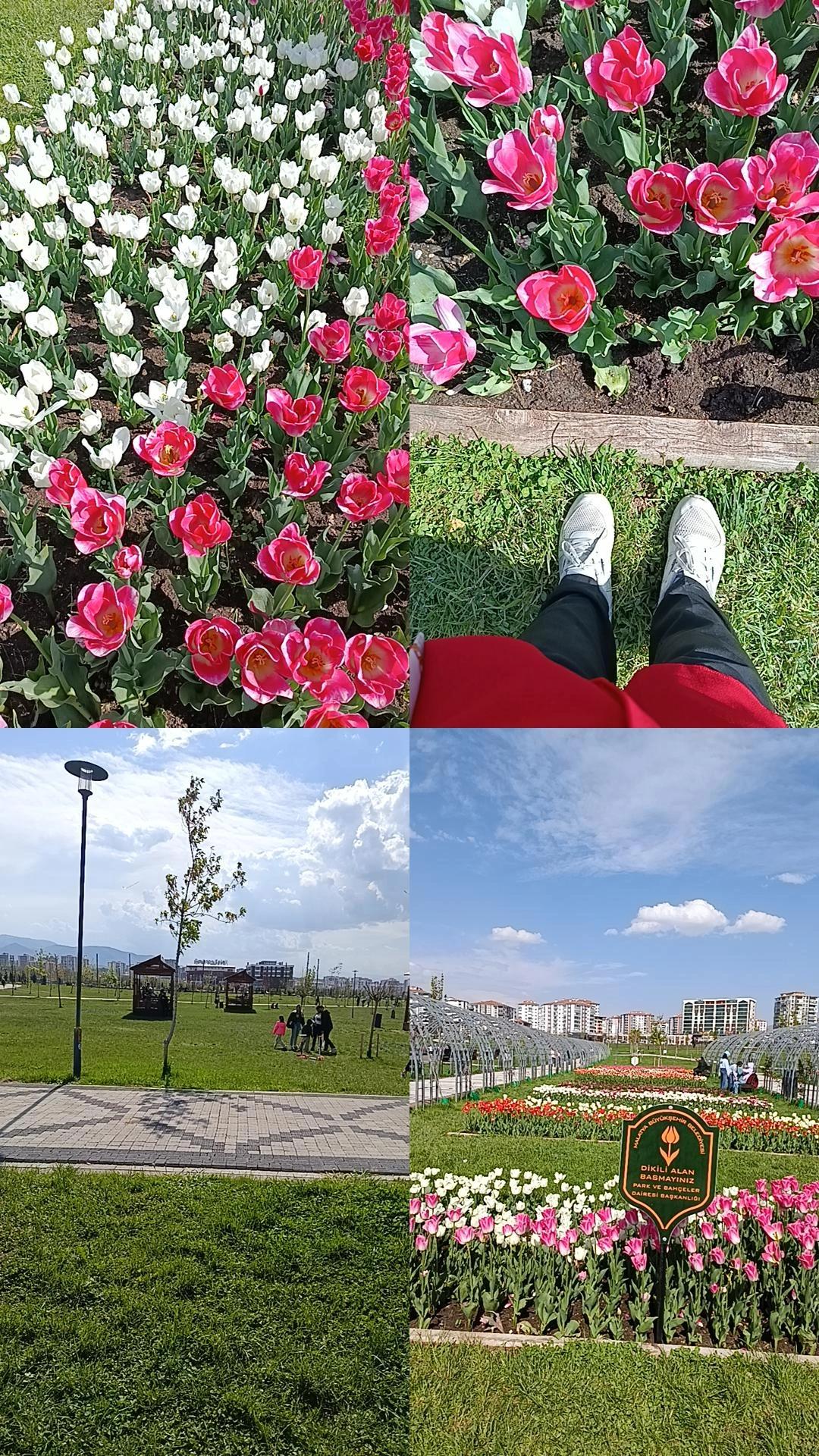 @SONSUZ HAYAT