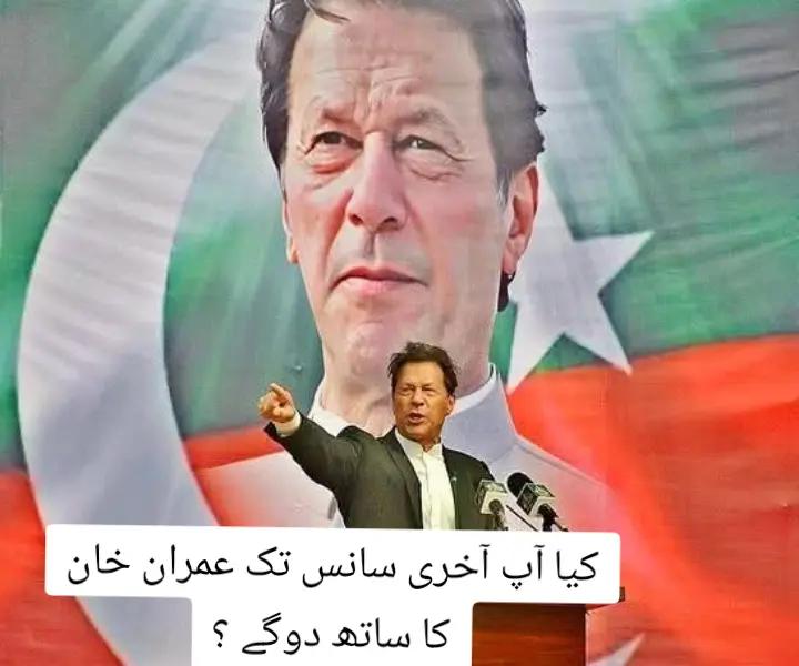 @Team Haleem Adil Sheikh PTi