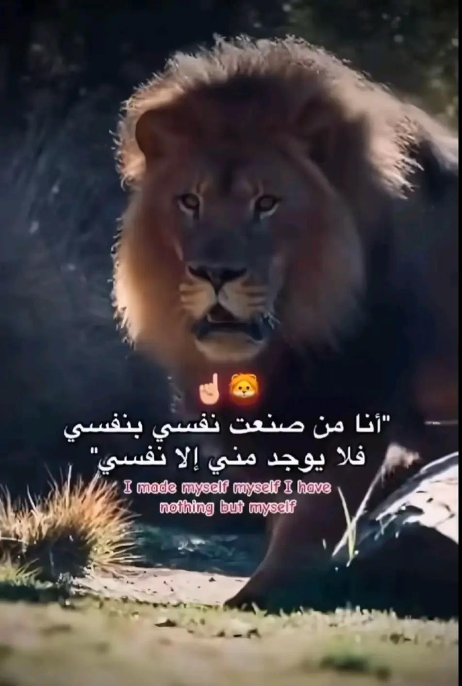 @محمد عبد الله ابو شره