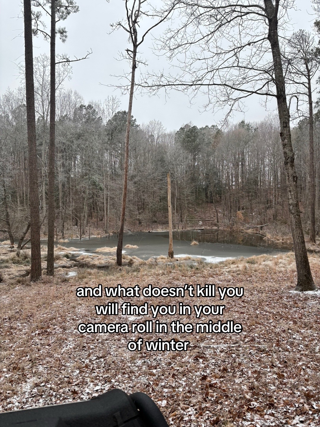 @Abbey