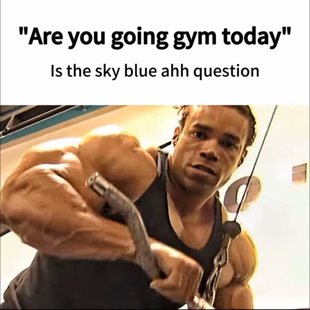 @ANTXSAGE