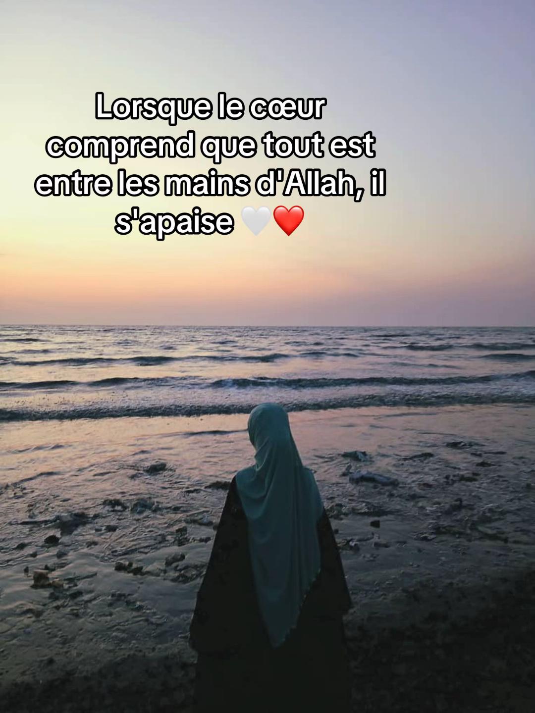 @🧸🌷 Fãtįįį 🌸 Lpf💫