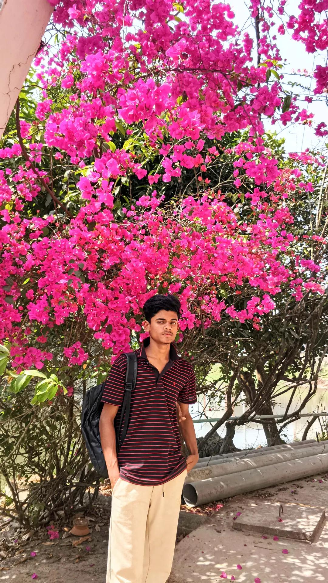 @MK TAMIM
