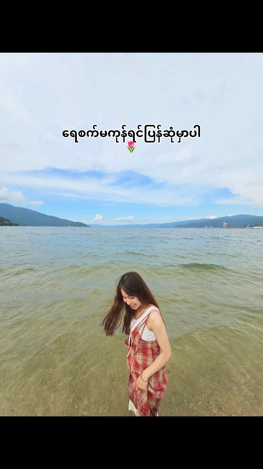 @susin pan pwint