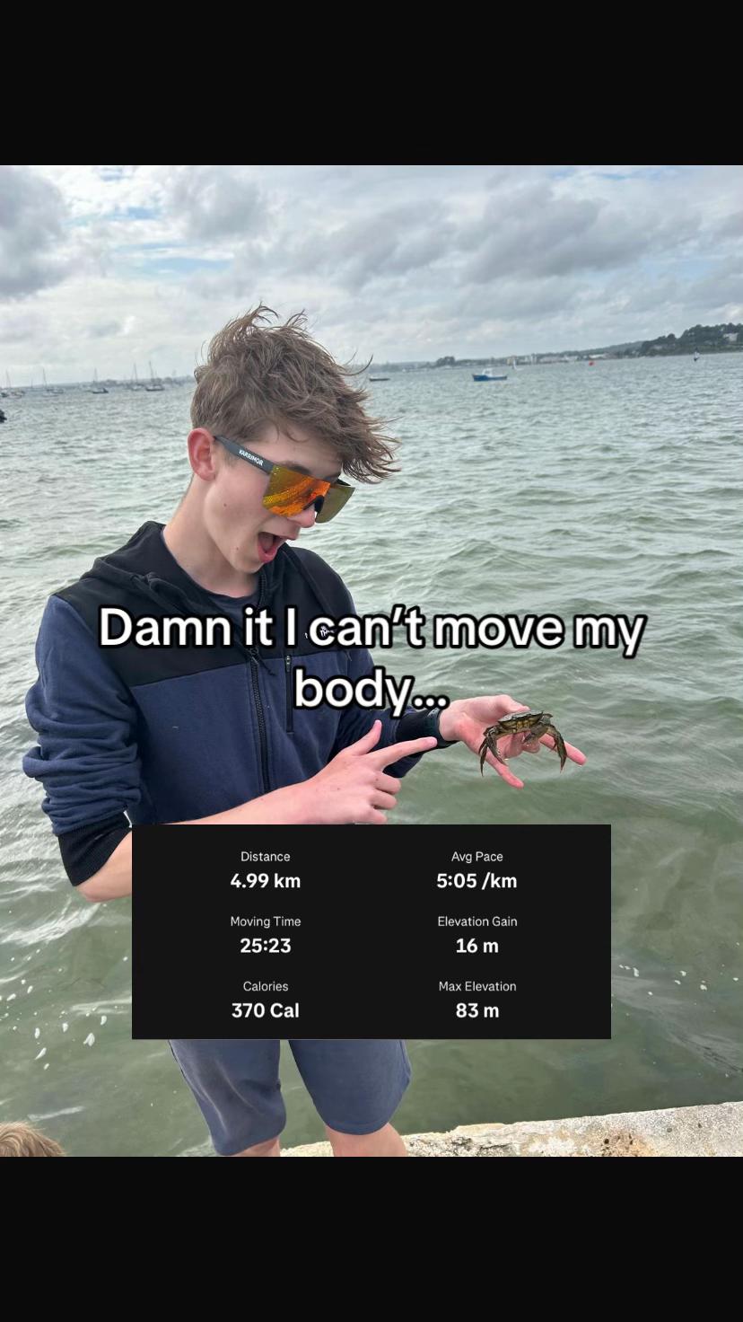 @Leo 🦈