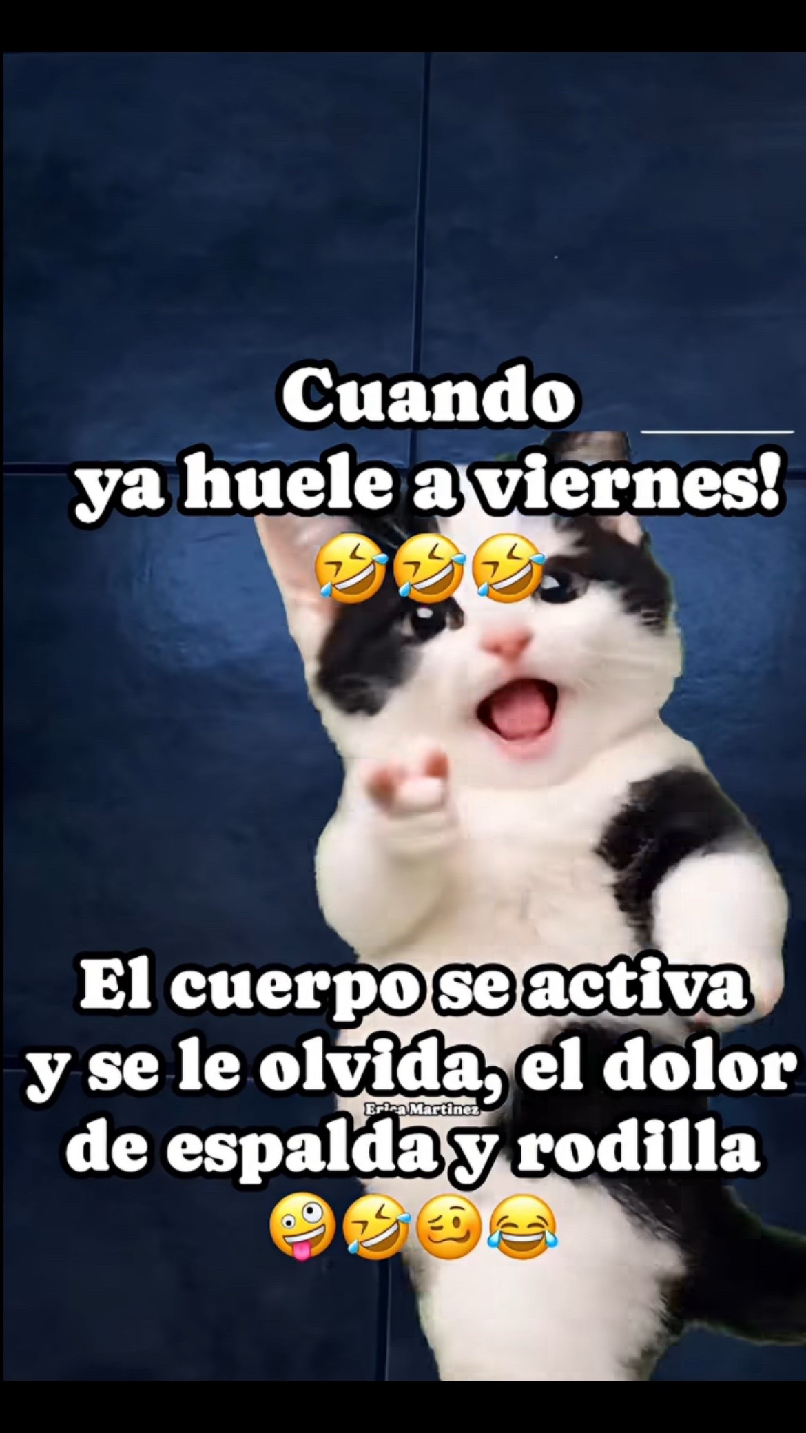 @Pedro Cruz