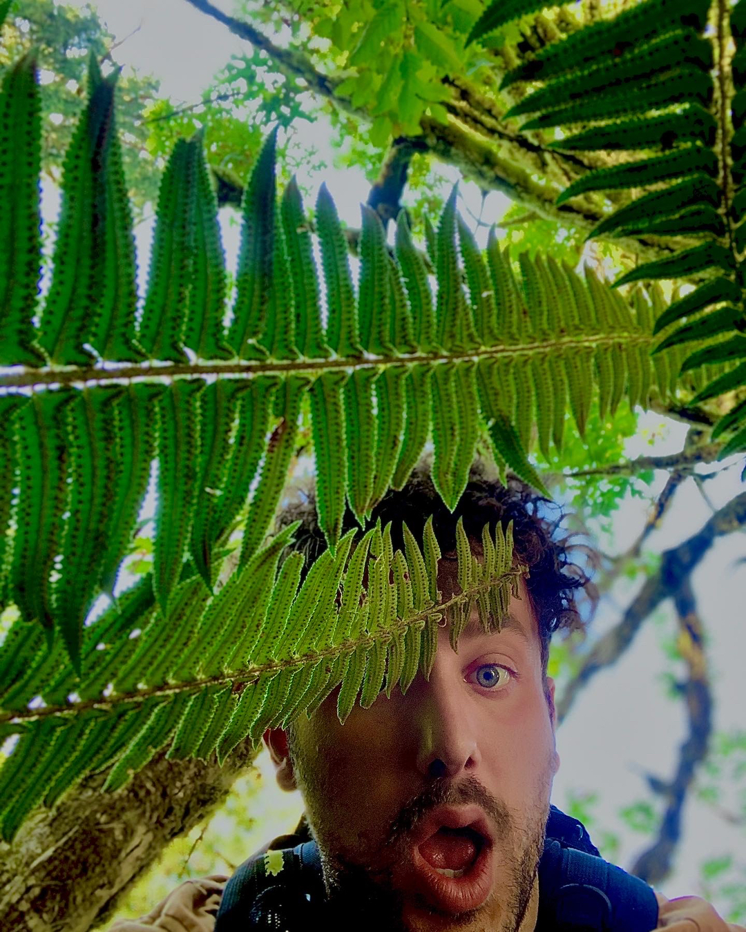 @Plantaesisage
