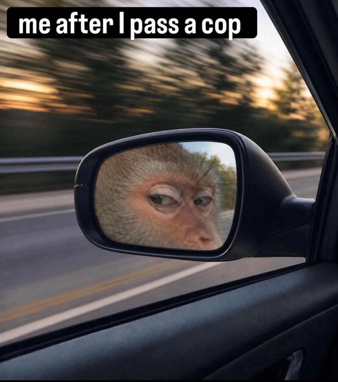 @RS7_MURRAY