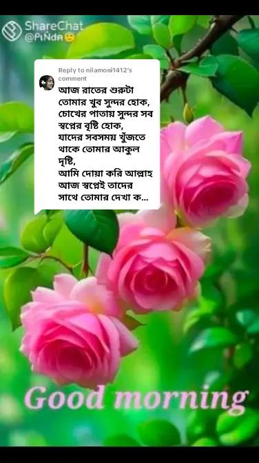 @꧁𝄟≛⃝༒꧂saiful꧁𝄟≛⃝༒꧂