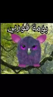 @Furby 1998
