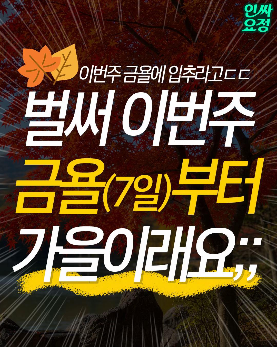 @인싸요정