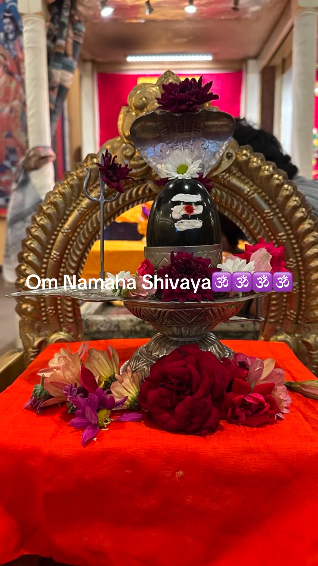@shivam
