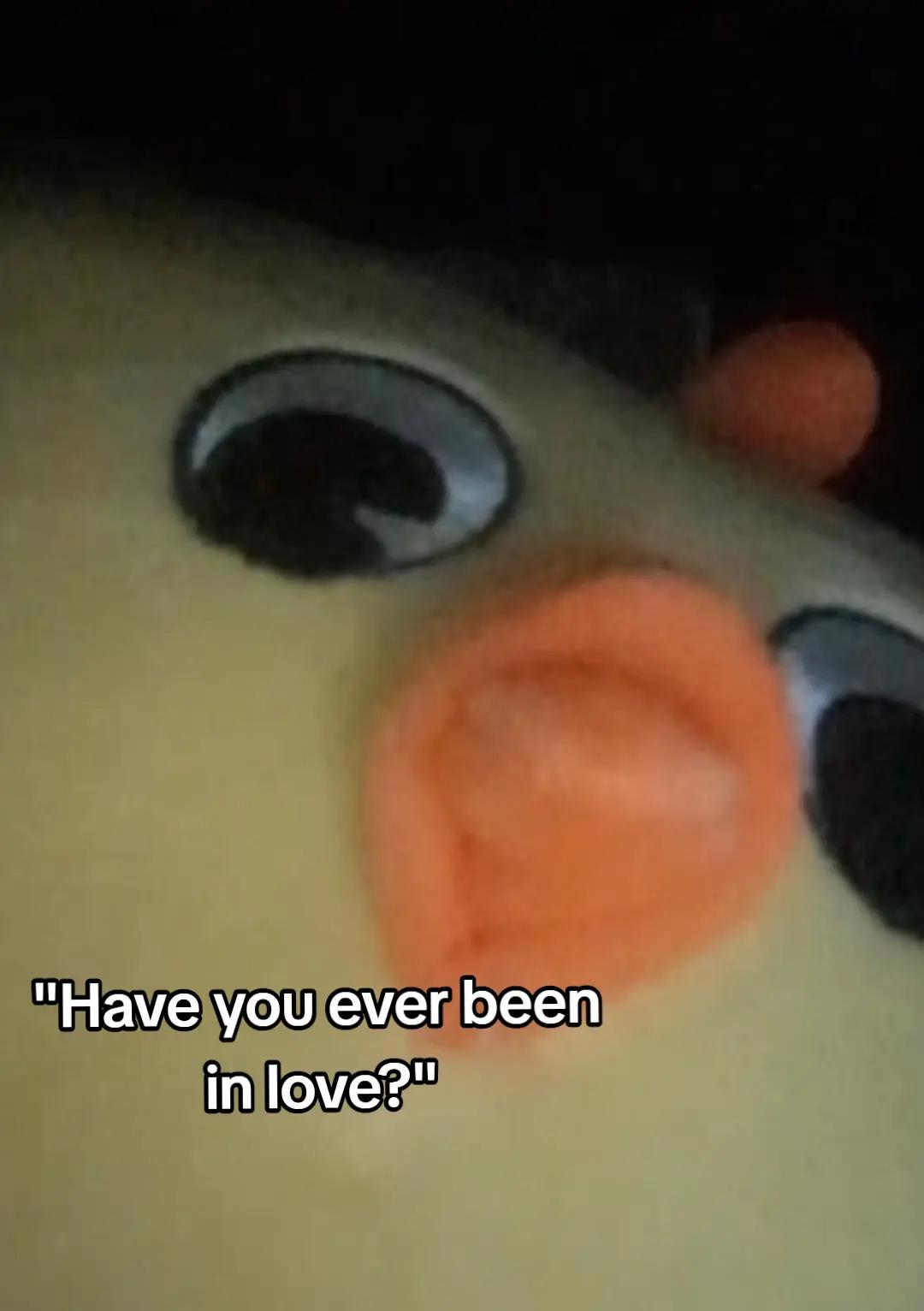 @๐๐๐๐๐๐๐ ๐๐๐๐๐๐๐