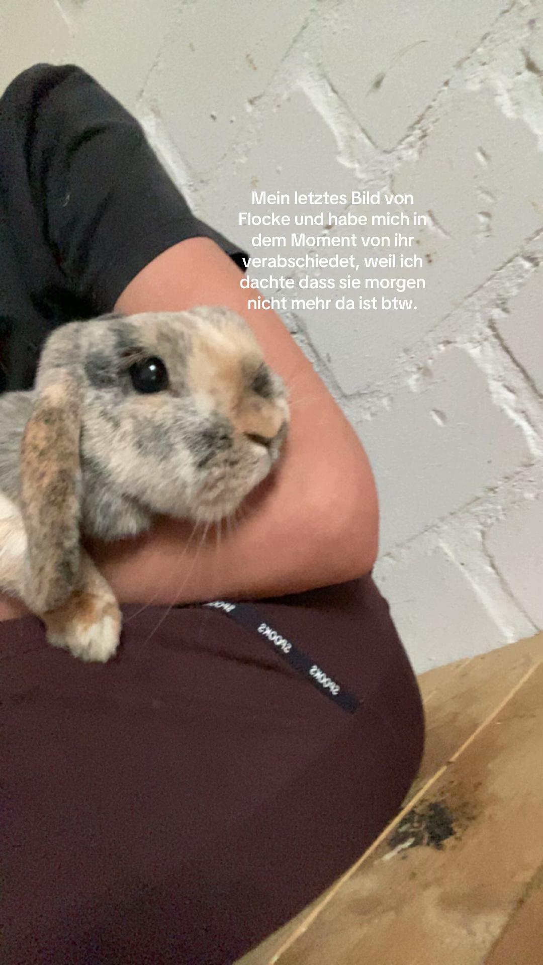 @𝐩𝐟𝐨𝐭𝐞𝐧_𝐛𝐚𝐧𝐝𝐞