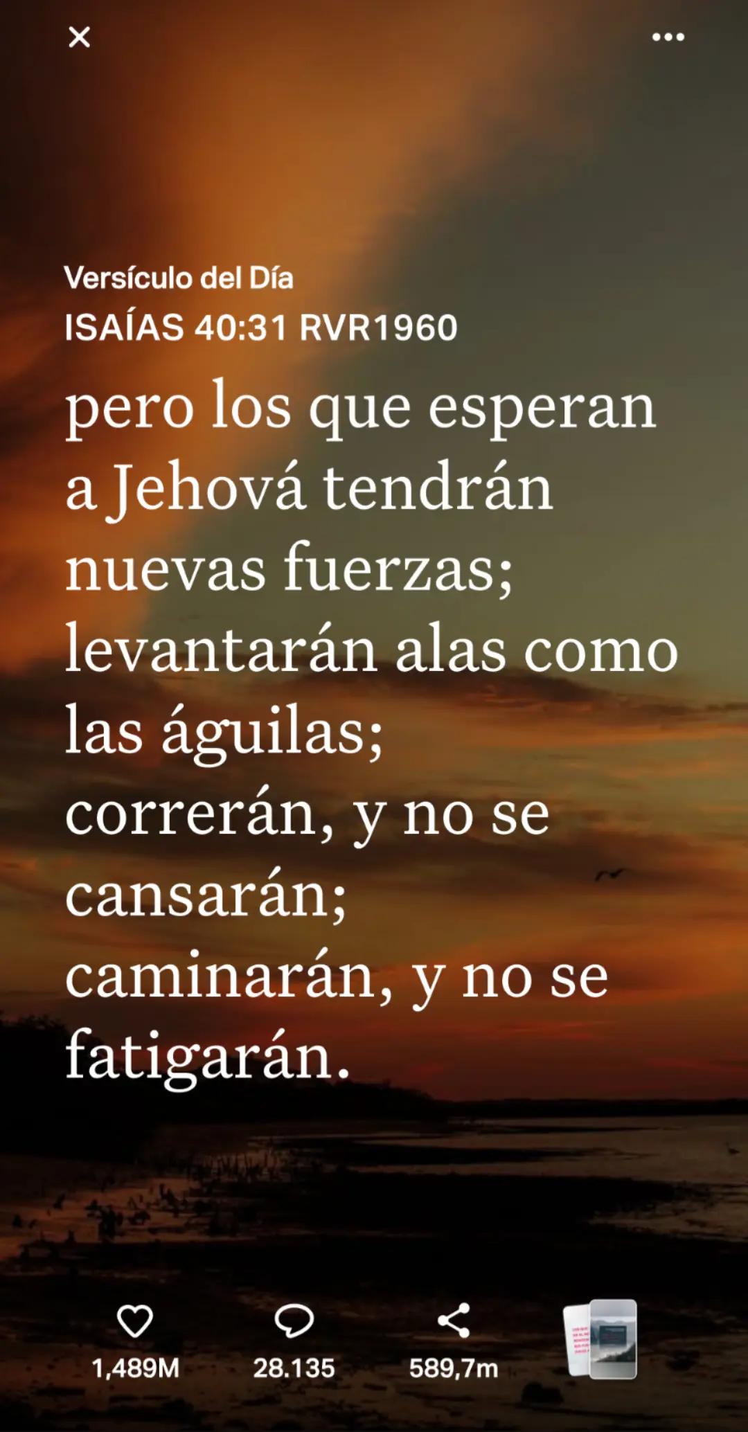 @Jaqueline Dever