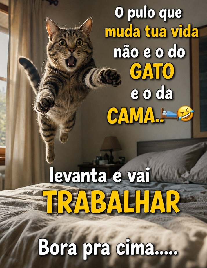 @Mey