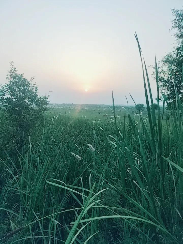 @Gujrati
