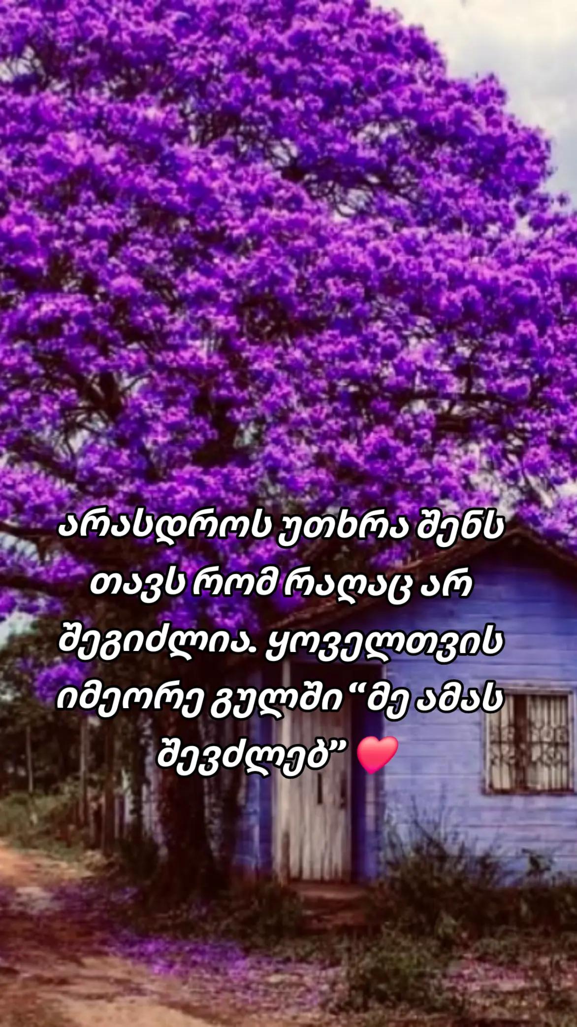 @TEKO๐ฆ๐ค