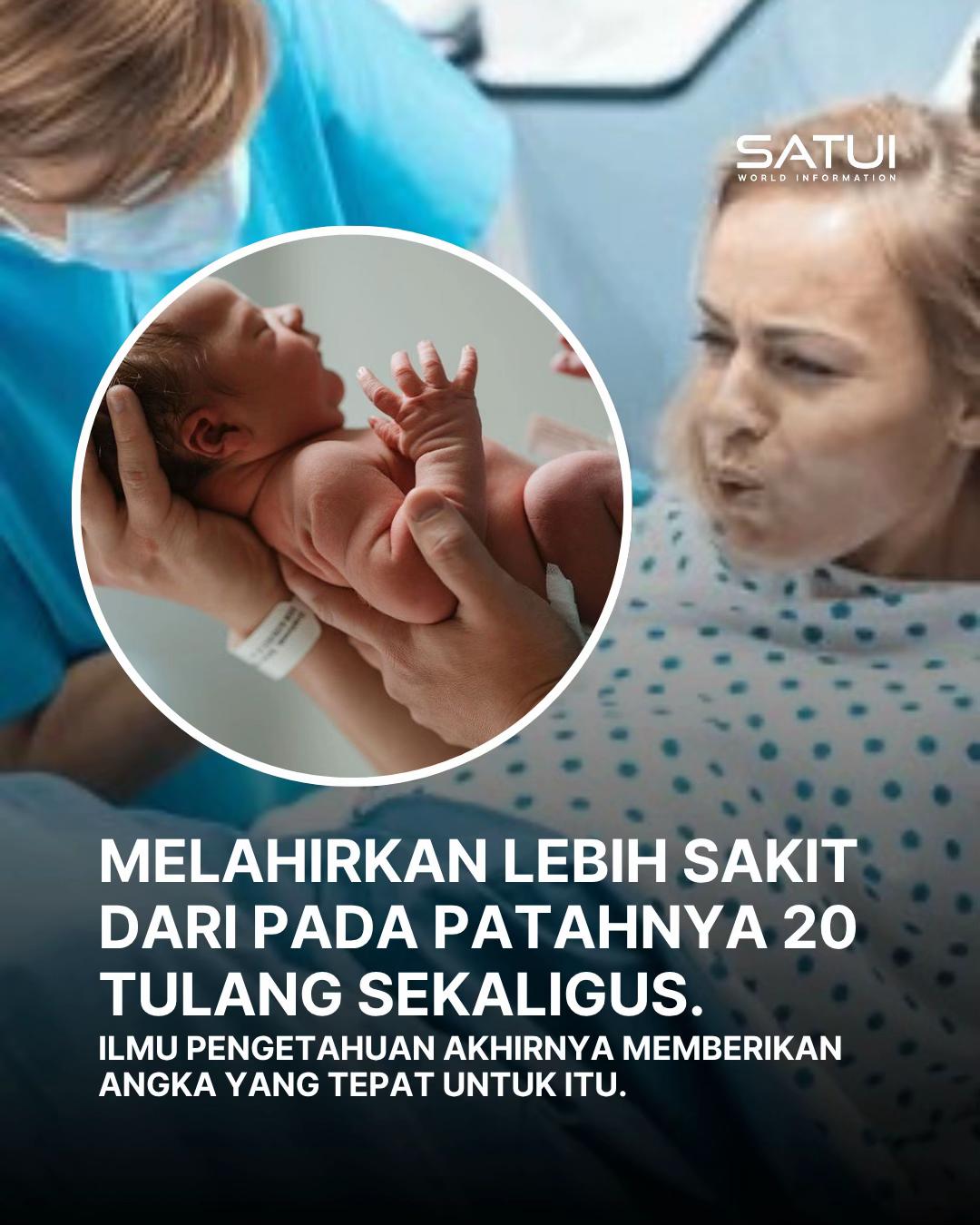 @Satui And World Infomation
