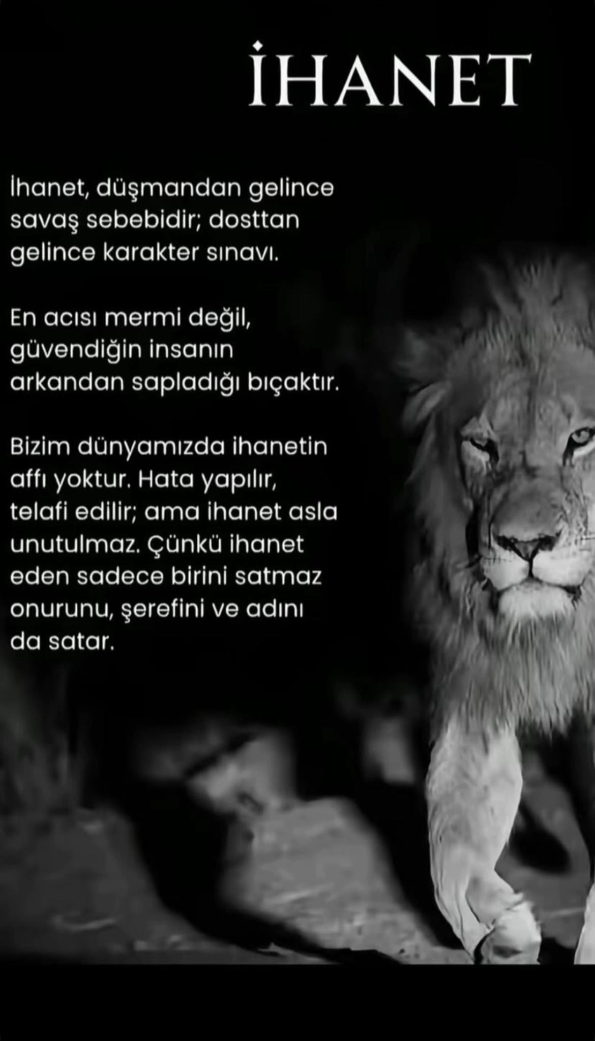 @LEONN🦁