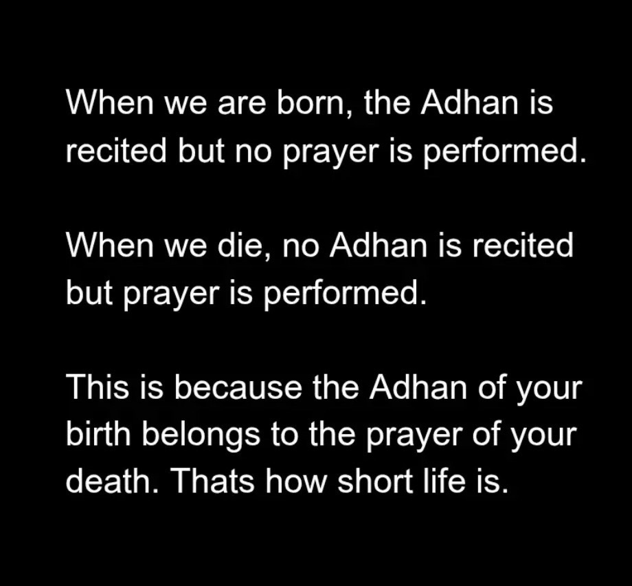 @Aisha