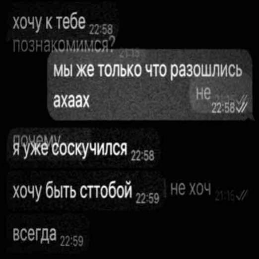 @₍^. .^₎⟆